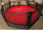 PRO USA MMA Elevated Octagon Cage