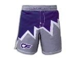CF Apex Shorts - Navy w/Grey