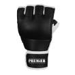 Revgear Premier MMA Gloves