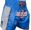 Fighter Top Ten IFMA Shorts Patchara