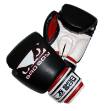 Youth Boxing Gloves