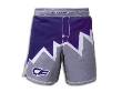 CF Apex Shorts - Navy w/Grey