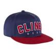 Clinch Gear Stance FlexFit Hat